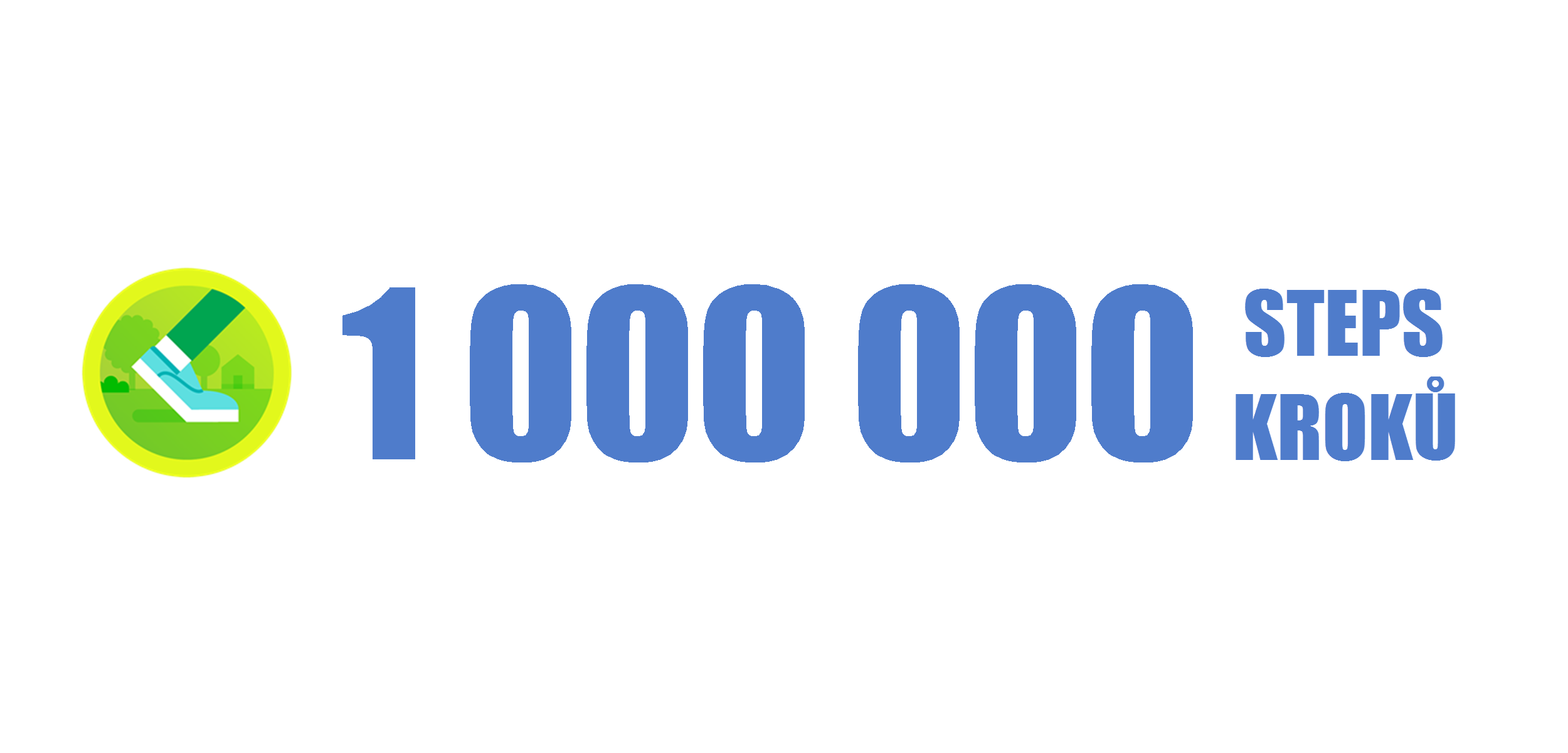 1000000 steps