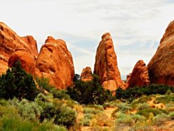 Arches