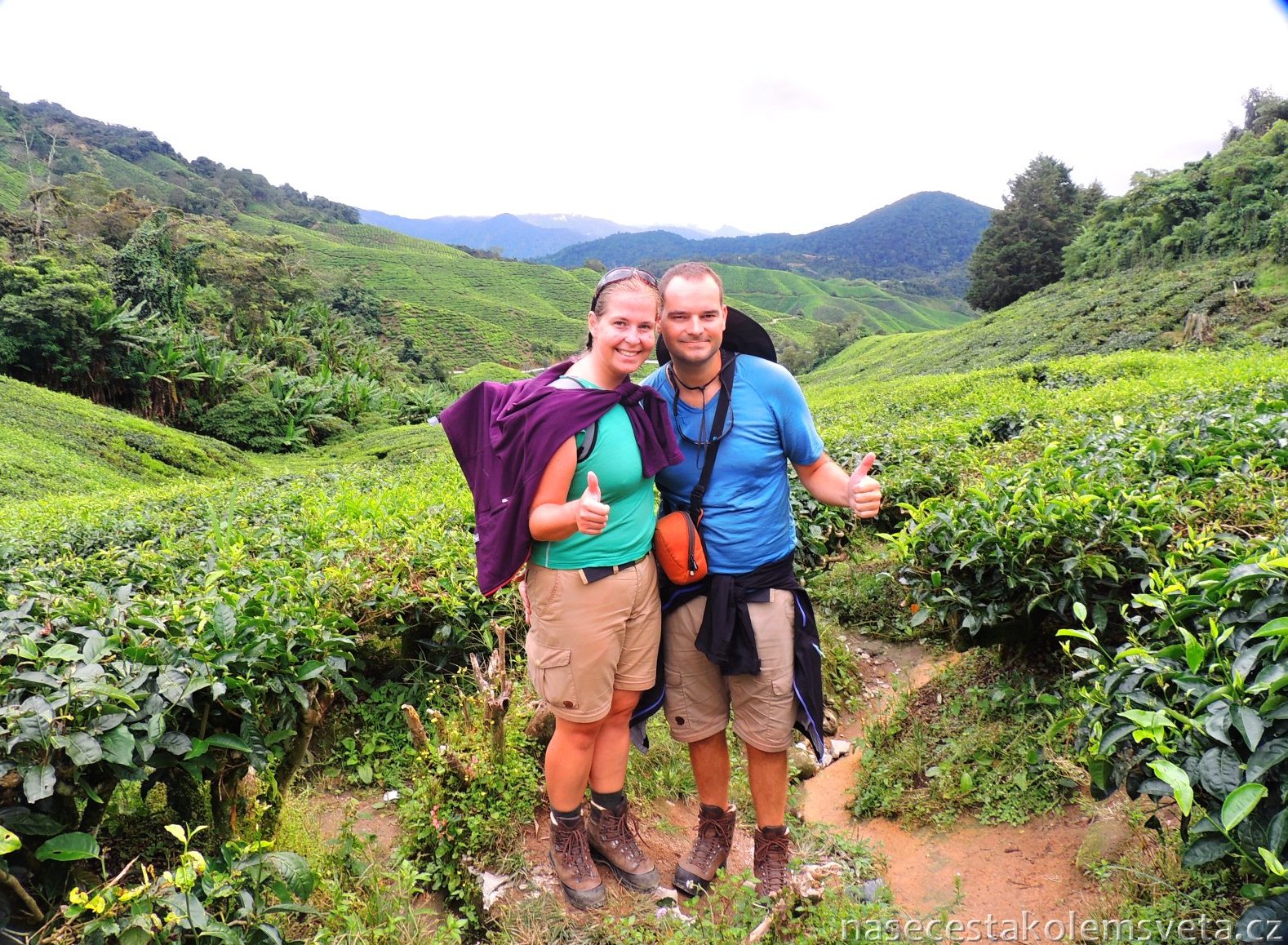 BOH Sungai Tea Plantation with Pavel and Martina