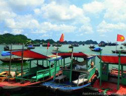 Boats in Halong Bay