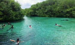 Cenote Casa