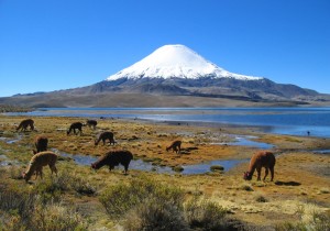 Parinacota volcano Chile