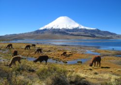 Parinacota vuklán, Chile