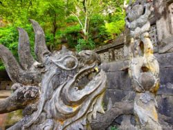 Chinese dragon