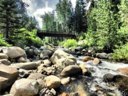 Cold Springs Campground Mineral King Sequoia