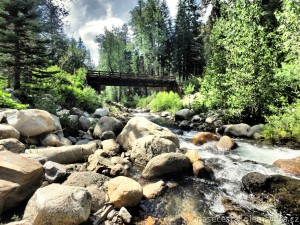Kemp Cold Springs, Mineral King, Sequoia