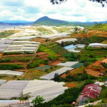 Da Lat