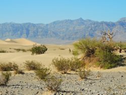 Death Valley
