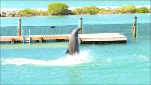 Florida Keys