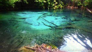 Emerald Pool Krabi Thajsko