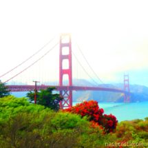 Golden Gate