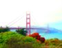 Golden Gate