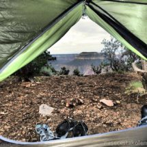 Grand Canyon from Kaibab National Forest