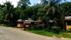 Koh Lanta Countryside