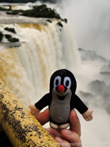 Krteček u vodopádů Iguacu