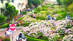 Lombard Street