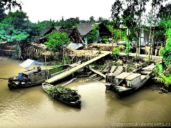 Mekong River Vietnam
