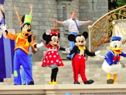 Disney Land