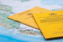 Vaccination passport