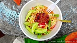 Papaya salad