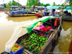 Phong Dien Floating market Mekong Delta