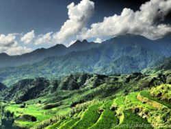 Rice fields and mountains Sapa Vietnam