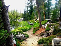 Sunrise Lake Trailhead Yosemite