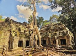 Ta Phrom