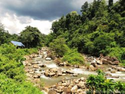 nature Thailand