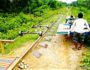Train in Battambang