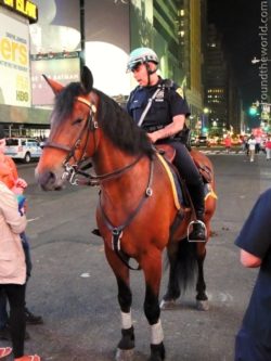 Policeman on Times Square