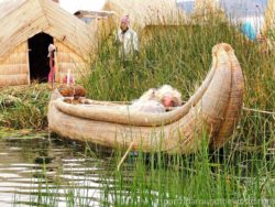Uros jezero Titicaca
