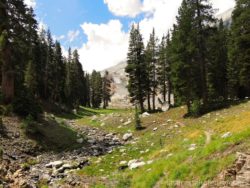 Cold Springs Campground Mineral King Sequoia