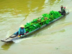 boat on Mekong River