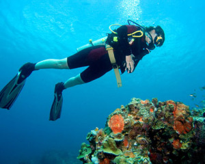 Diving, diver in the sea
