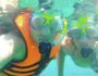 snorkeling